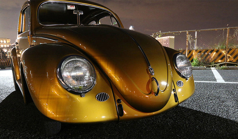 Striking gold Kalifornia look Beetle in Japan.