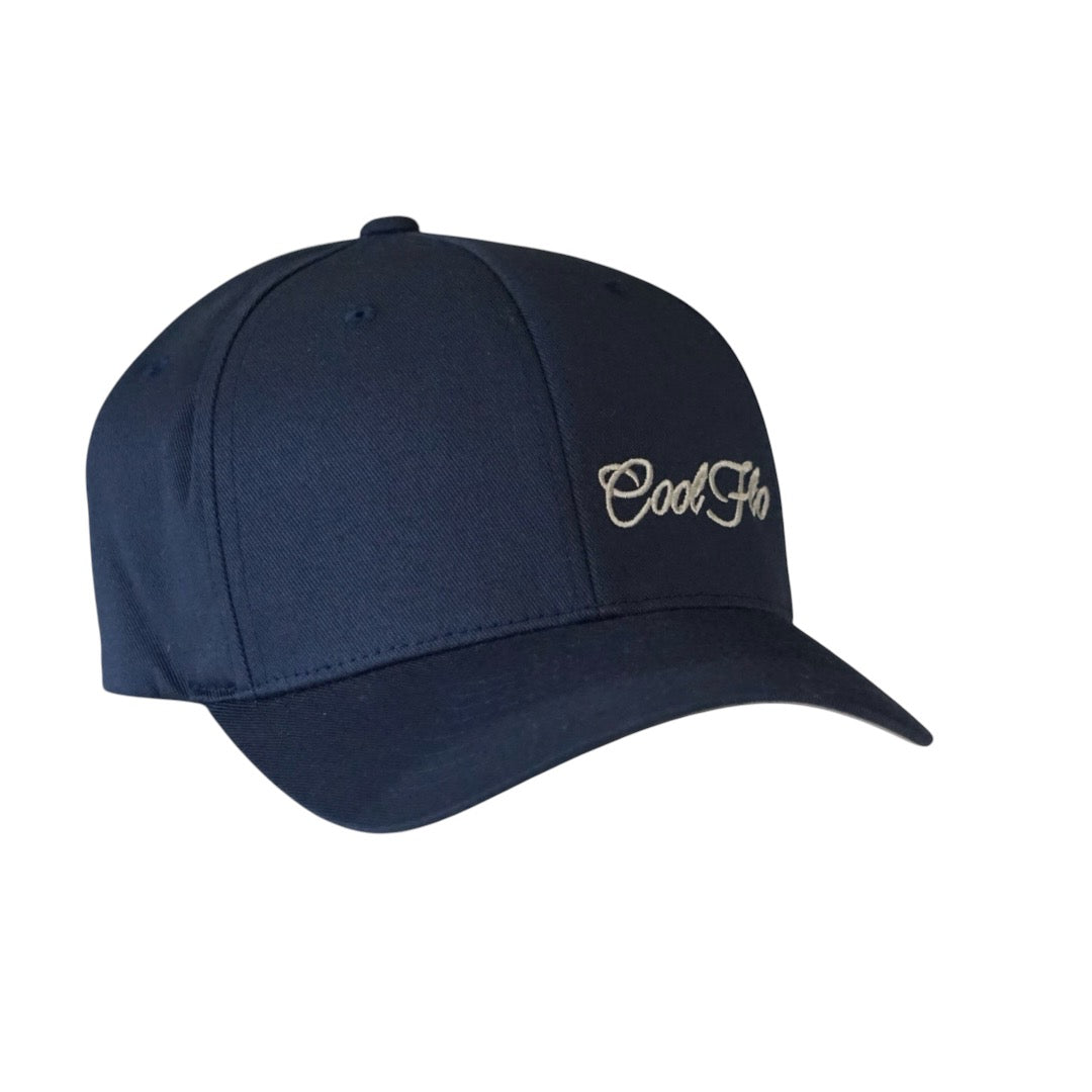 Navy blue flex-fit baseball cap with light grey script logo embroidered on the side.