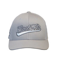 Front view of a Cool Flo Silver trucker cap featuring a raised 3D embroidered Swoosh logo in Silver and Dark Grey and a curved visor