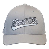 Front view of a Cool Flo Silver trucker cap featuring a raised 3D embroidered Swoosh logo in Silver and Dark Grey and a curved visor